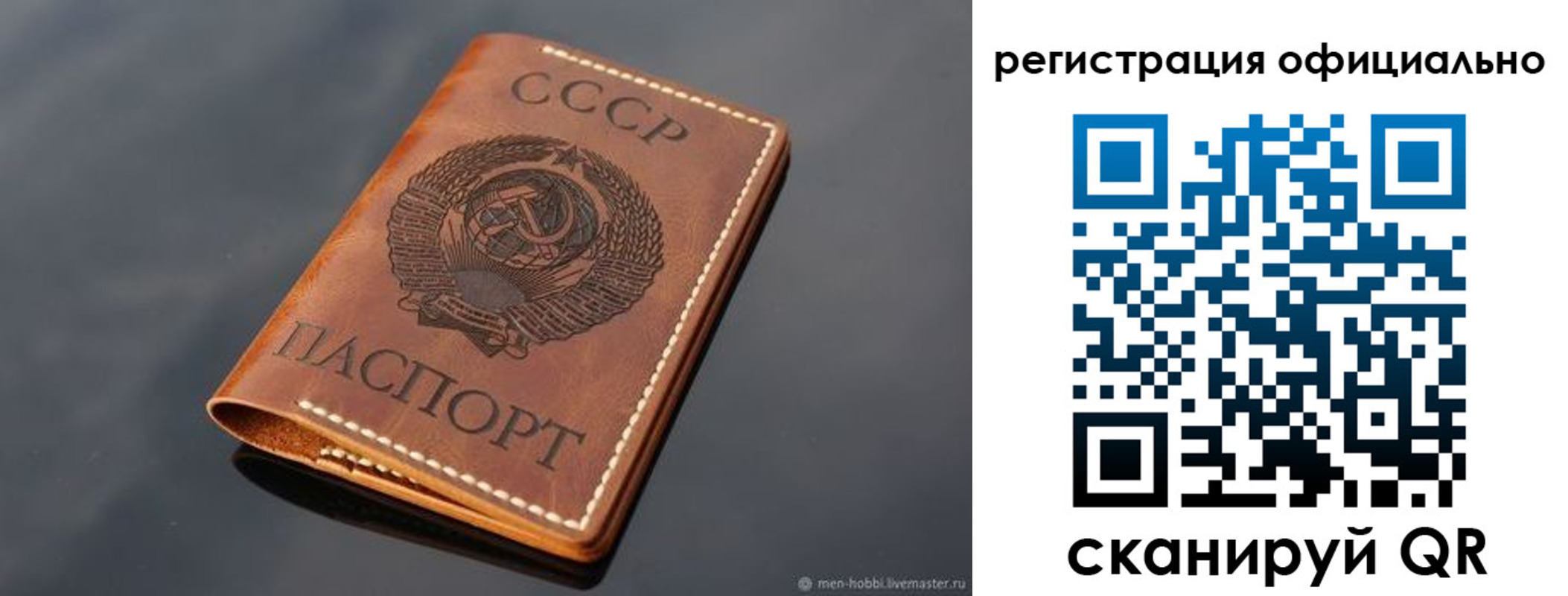 прописка гарантия в Светлограде
